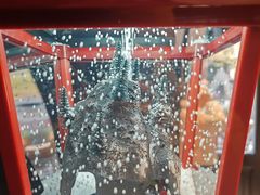 -香格里拉鱼跃地中海西餐厅·牛排披萨