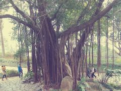 -乌山风景区