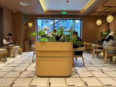 -霸王茶姬(南亚风情第壹城店)