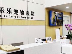 -凯瑞希宠物医院·狂犬免疫·微创·皮肤科