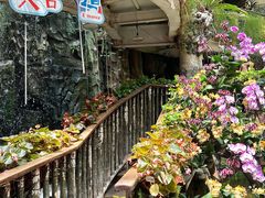 -正佳雨林生态植物园