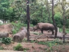 -清迈夜间动物园