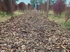 -汉长安城未央宫国家考古遗址公园