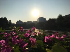 -广州都市观光巴士(粤陶巴)