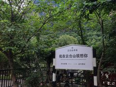 -云台山风景名胜区