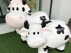 门面-白色日记·手作酸奶(麦凯乐店)