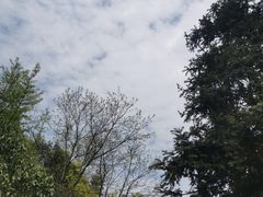 -南京老山国家森林公园