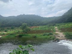 -广州市石门国家森林公园