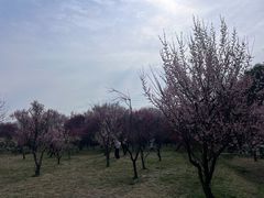 -蜀冈西峰生态公园