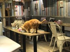 -小时光咖啡馆(开森度假森林店)