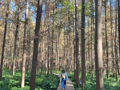 -上海怡沁园度假酒店