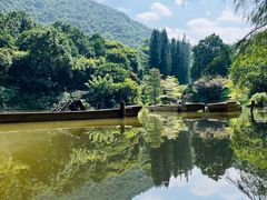 -深圳仙湖植物园