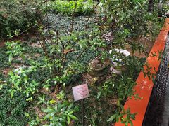 -广州神农草堂中医药博物馆