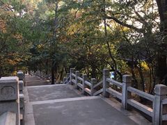 -灵岩山风景区