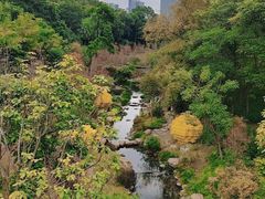 -云溪植物园