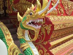 -西双版纳傣族园