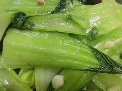 -生蚝园