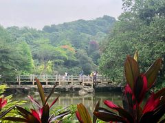 -云溪植物园