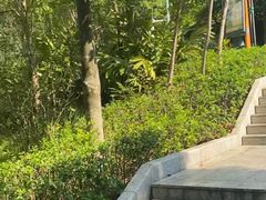 -神光山国家森林公园