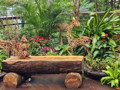 -深圳仙湖植物园