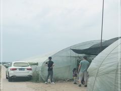 -庞各庄西瓜蔬菜采摘园·锦华瓜园
