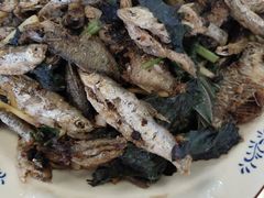 -幽优农庄·森波拉特色本地农家菜