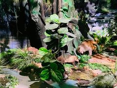 -广西规划馆