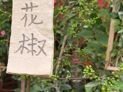 -三圣花乡旅游区