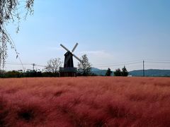 -羊亭河湿地公园