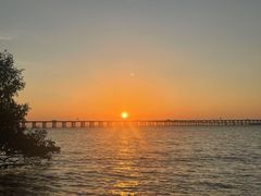 -宝安西湾红树林湿地公园