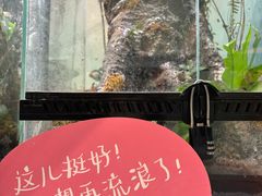 -中国湿地博物馆