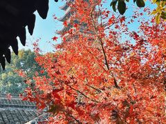 -常熟方塔园