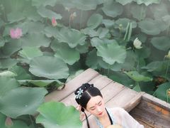 -蜀皇·菌汤鲜黄牛肉汤锅(宽窄巷子店)