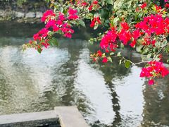 -和顺古镇