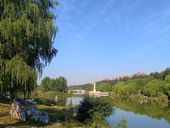 -马家湾湿地公园