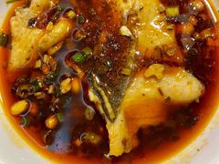 深水花鲢鱼-蜀滋香鲜鱼美蛙火锅(339店)