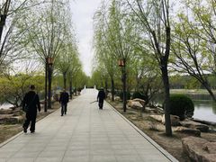 -长春市南湖公园