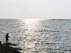 -野狸岛