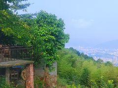 -缙云山景区