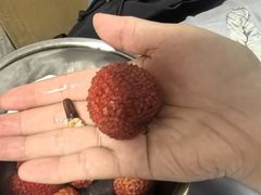 -哈尔信阳光农园超市(沈阳三台子万象汇店)