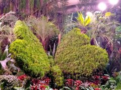 -正佳雨林生态植物园