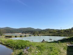 -大姆山草场