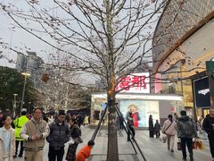 -龙湖重庆时代天街
