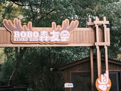 -杭州开元森泊度假乐园