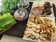 -蘑统田下·野生菌火锅