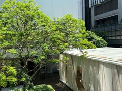 -星巴克臻选(深圳万象天地旗舰店)