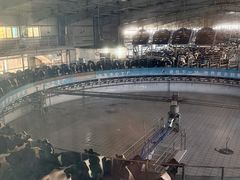 -光明牧业有限公司金山种奶牛场
