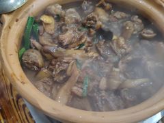 -广宁炭炉鸡煲·富临门饭店