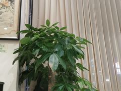 -金河半岛园林酒家(金融城店)