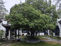 -白鹿洞书院
